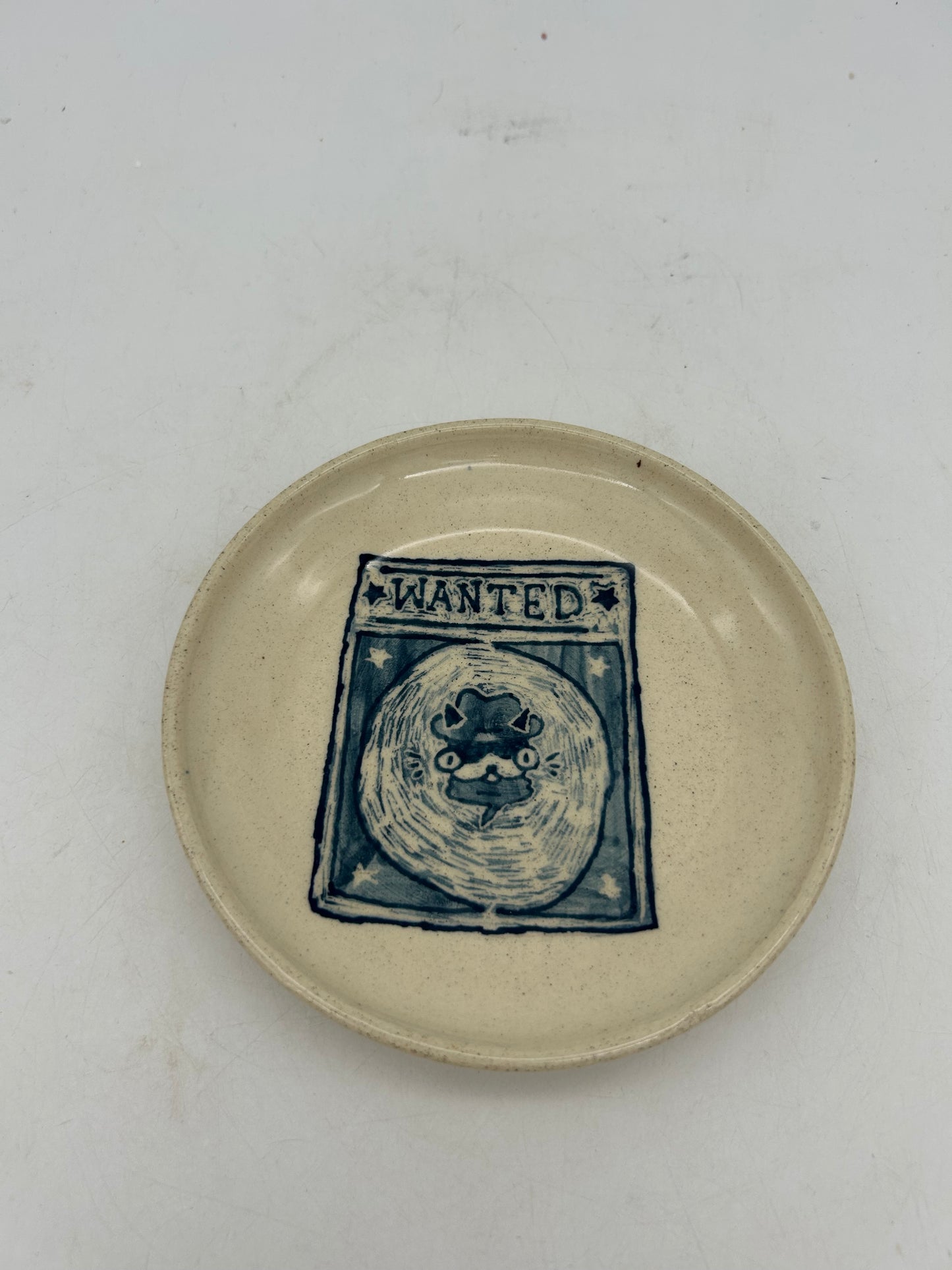 Wanted Cat Snack Plate #1
