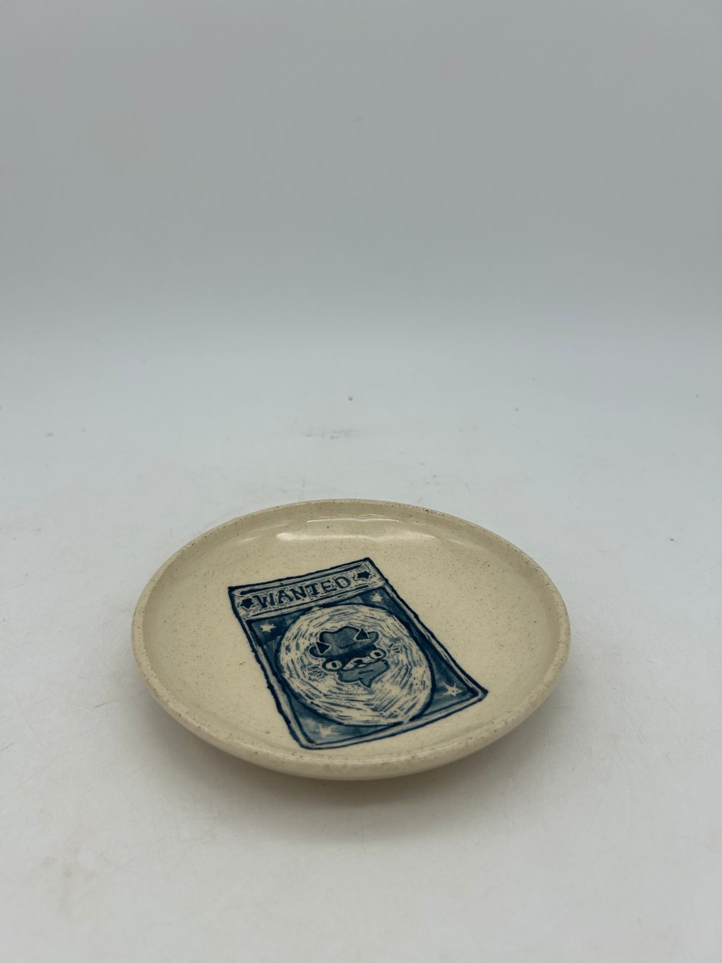 Wanted Cat Snack Plate #2