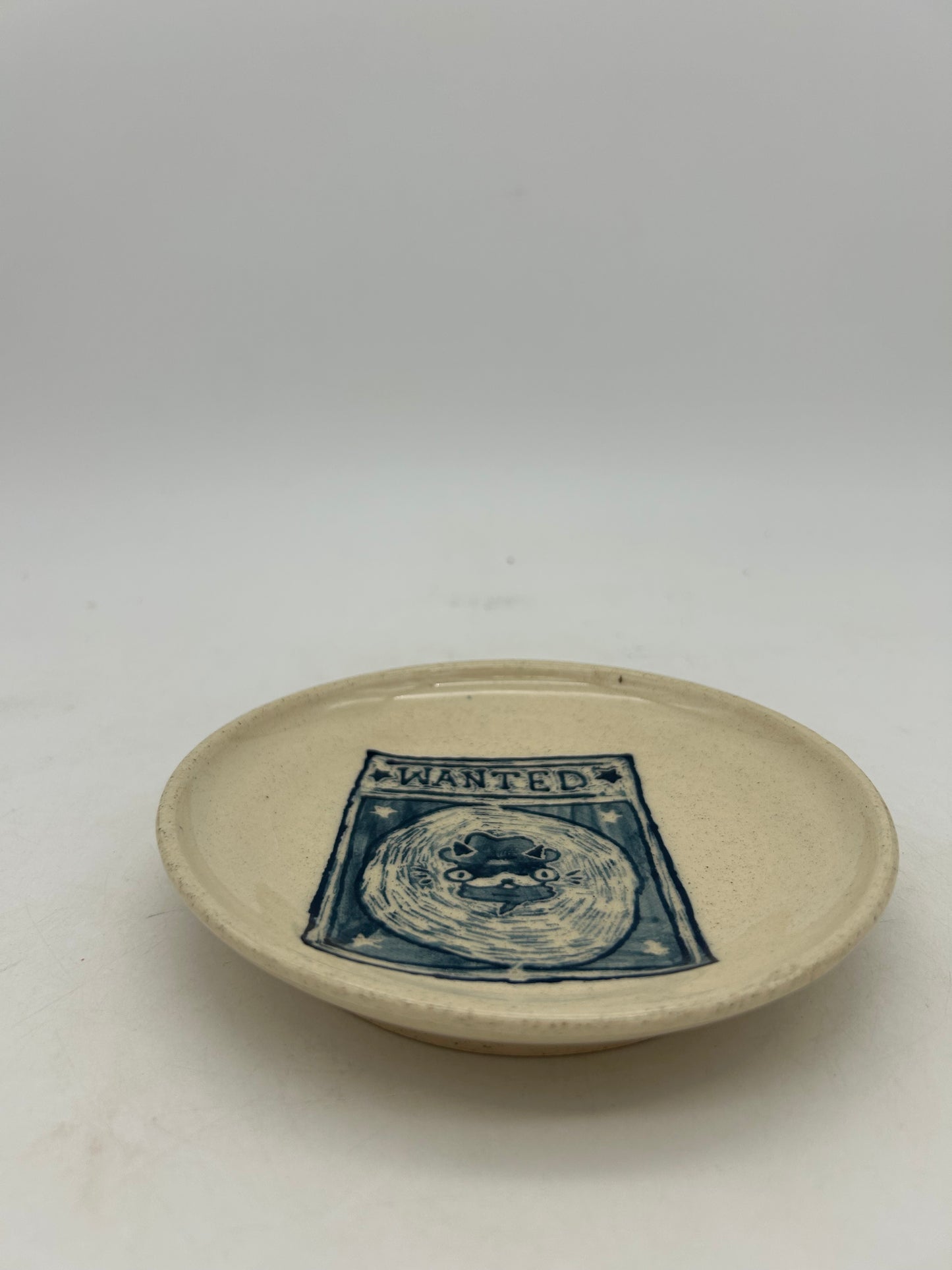 Wanted Cat Snack Plate #1
