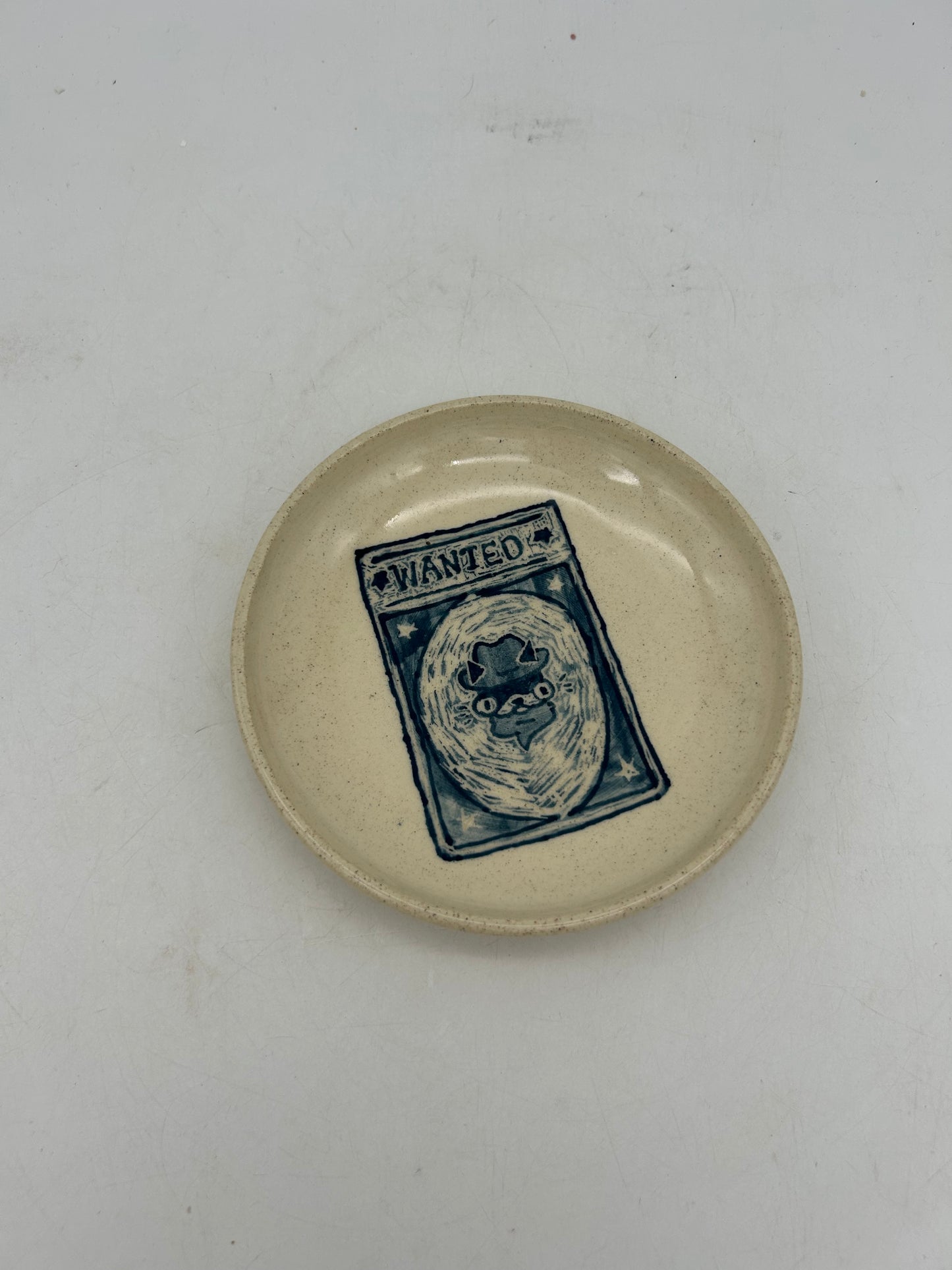 Wanted Cat Snack Plate #2